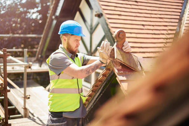 Best Flat Roof Repair Services  in Coldwater, MS